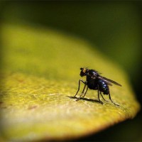 /album/classattthersnad/photolia-a07-jpg/